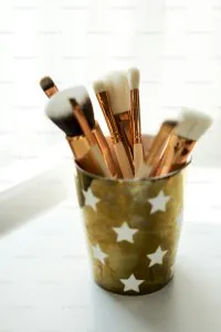 Makeup Brush Set